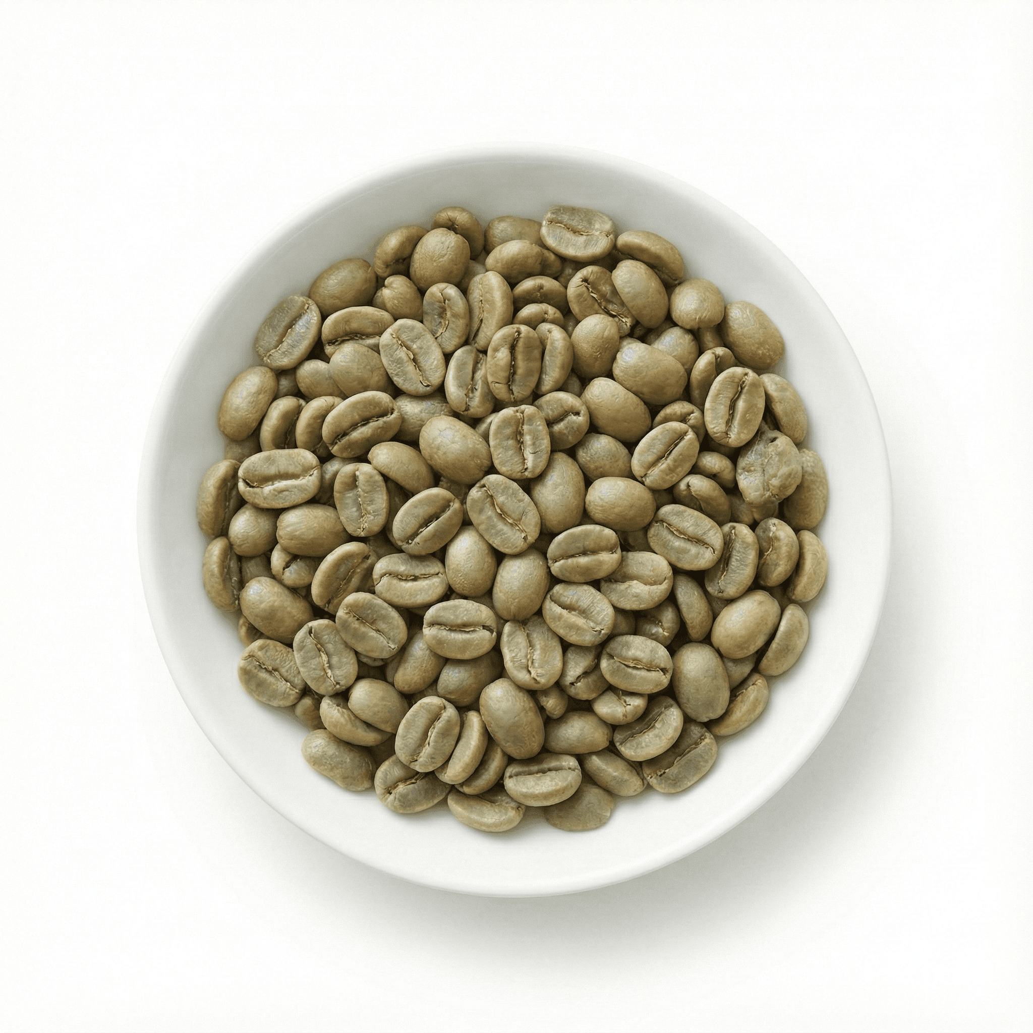 Robusta Screen 18 (AAA Grade) - Green - Indian Coffee Export | VB Exports